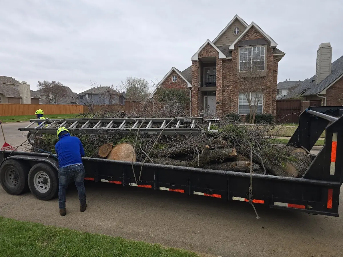 Expert Tree Fertilization with proper safety equipment in Yampa